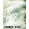 ANUA - Heartleaf Quercetinol Pore Deep Cleansing Foam @ غسول رغوي