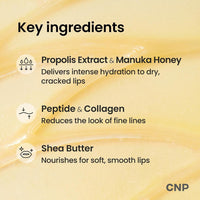 CNP Laboratory - Propolis Lipcerin @ مرطب الشفاة